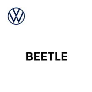 Beetle