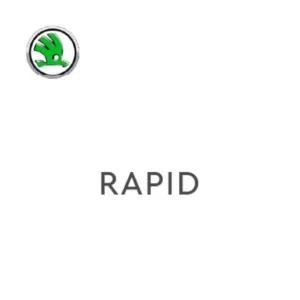 Rapid