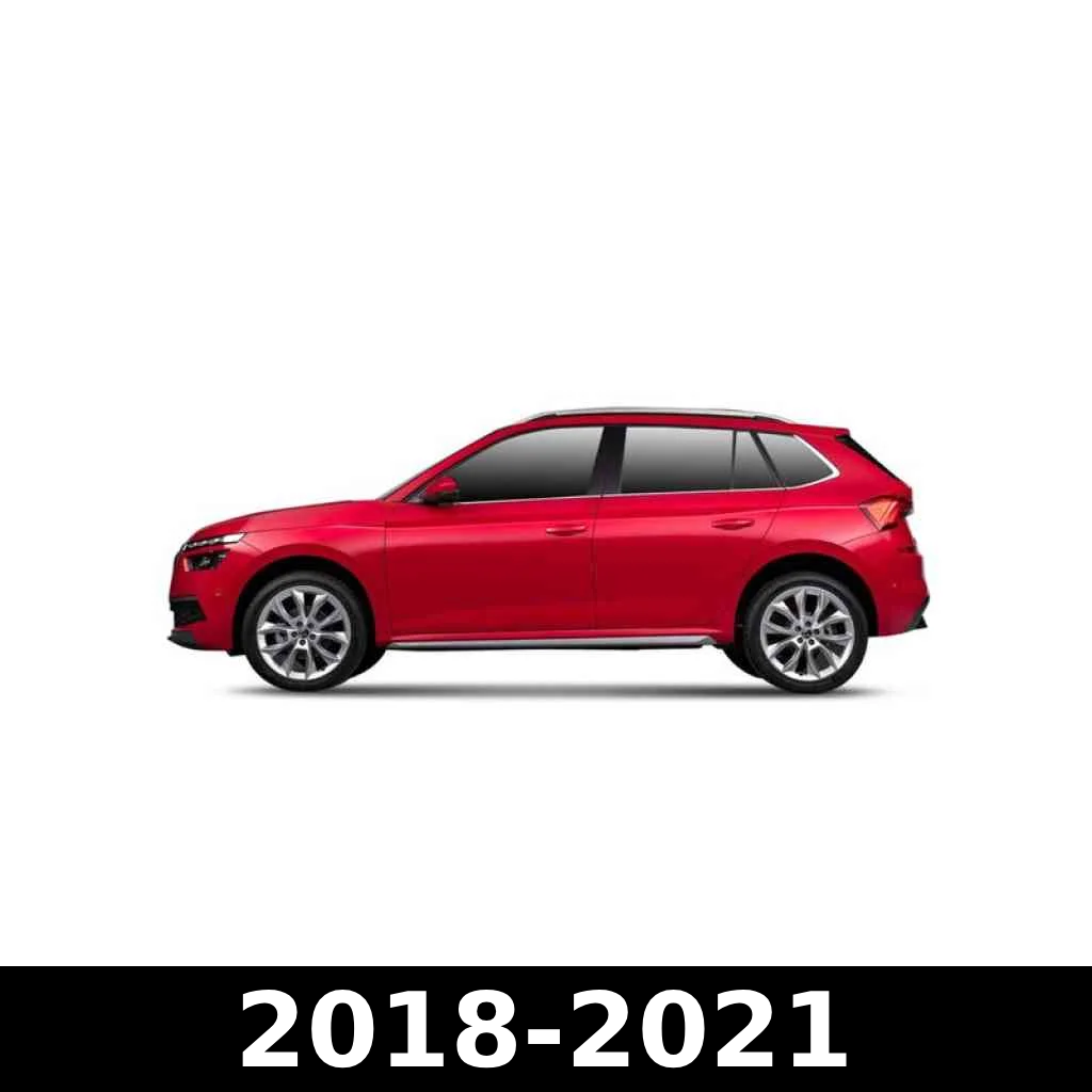 (2018-2021)